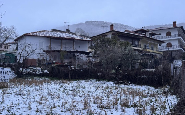 Θεσσαλονίκη: Λευκό τοπίο στον Χορτιάτη - Χωρίς προβλήματα η κυκλοφορία των οχημάτων