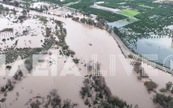 Συναγερμός στην Ηλεία: «Πνίγηκαν» στις λάσπες οι πεδιάδες του Αλφειού (βίντεο)