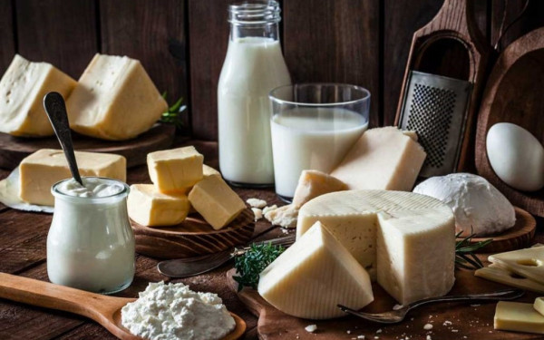 ARTIMA: Μια 20ετής διαδρομή επιτυχίας…ως την κορυφή της ελληνικής αγοράς, στα γαλακτοκομικά προϊόντα