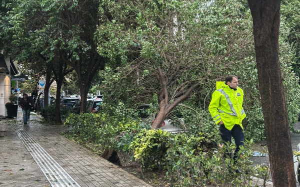 Θεσσαλονίκη: Έκλεισε δρόμος στα ανατολικά λόγω πτώσης μεγάλου δέντρου