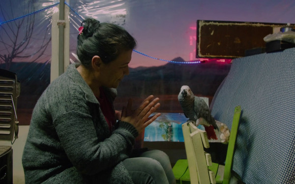 28ο Φεστιβάλ Ντοκιμαντέρ Θεσσαλονίκης: 57 ελληνικά ντοκιμαντέρ διεκδικούν σημαντικά βραβεία