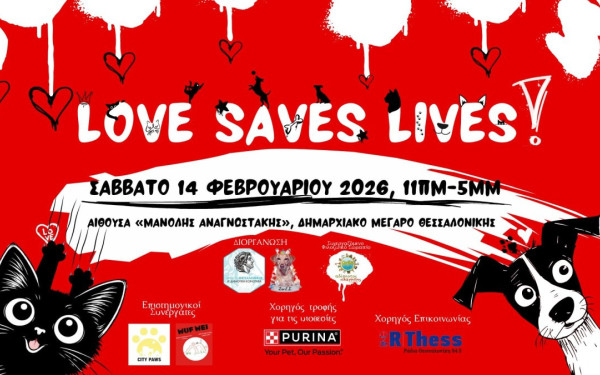 LOVE SAVES LIVES: Φέτος γιορτάζουμε τον Άγιο Βαλεντίνο δίνοντας αγάπη στα αδέσποτα στο Δημαρχείο Θεσσαλονίκης