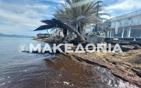 Δήμος Θερμαϊκού: «Mάχη» με τη λάσπη μετά τη πλημμυρίδα - Μετρούν τις «πληγές» τους κάτοικοι και επαγγελματίες (βίντεο)