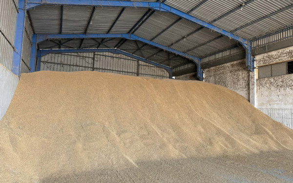 Σε αδιέξοδο οι ορυζοπαραγωγοί της Δυτικής Θεσσαλονίκης- Γεμάτες αποθήκες και άδειες τσέπες οδηγούν σε νέες κινητοποιήσεις