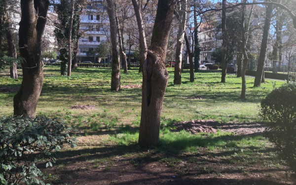 Καρδίτσα: Πώς το πάρκο Παυσίλυπο του 1901 αποτελεί έως σήμερα σημείο κατατεθέν της πόλης