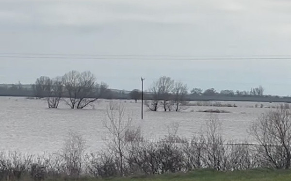 Έβρος: Πλημμύρισαν 60.000 στρέμματα στο Σουφλί- Έσπασαν αναχώματα σε Κορνοφωλιά και Αμόριο (βίντεο)