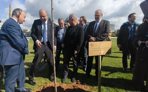 Θεσσαλονίκη: Φυτεύτηκαν 13 δέντρα στη μνήμη φοιτητών του ΑΠΘ που χάθηκαν στα Τέμπη - Παραδόθηκε πάρκο με 500 νέα δέντρα μπροστά από τη Βιβλιοθήκη