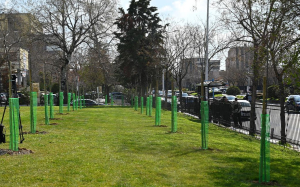 ΑΠΘ: Τα πρώτα 500 δέντρα, τα 13 του Βαρώτσου που περιμένουν και η έξωση των ΙΧ από το campus. Του Νίκου Ηλιάδη