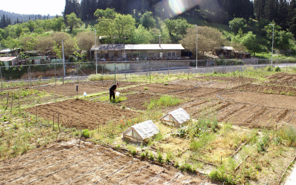 Έως τις 15 Μαρτίου οι αιτήσεις για τους δημοτικούς λαχανόκηπους στον δήμο Νεάπολης-Συκεών