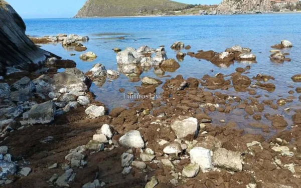 Εμφανίστηκε ο βυθός της Λήμνου - Δείτε βίντεο από την άμπωτη