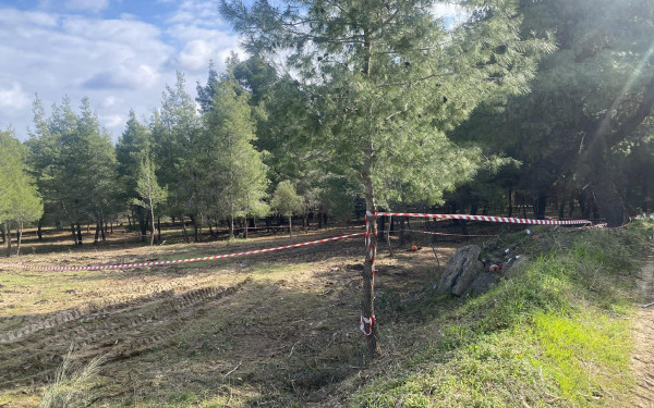 Χαλκιδική: Σε εξέλιξη οι έρευνες για την σορό που βρέθηκε σε δάσος (βίντεο)