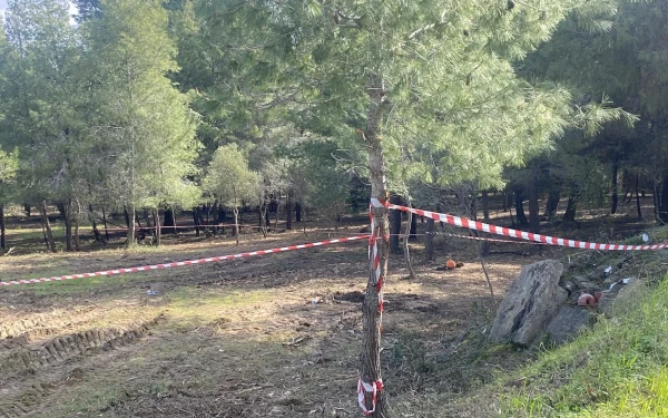 Χαλκιδική: Τι έδειξε η ιατροδικαστική για τη σορό που βρέθηκε σε σακούλα - Από 4 έως 12 μήνες πριν επήλθε ο θάνατος