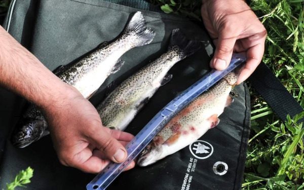 Απαγόρευση ψαρέματος σε ποταμούς της ΠΚΜ