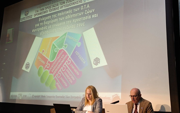 Δήμος Κορδελιού - Ευόσμου: Τεράστια η αύξηση των δεσποζόμενων ζώων συντροφιάς