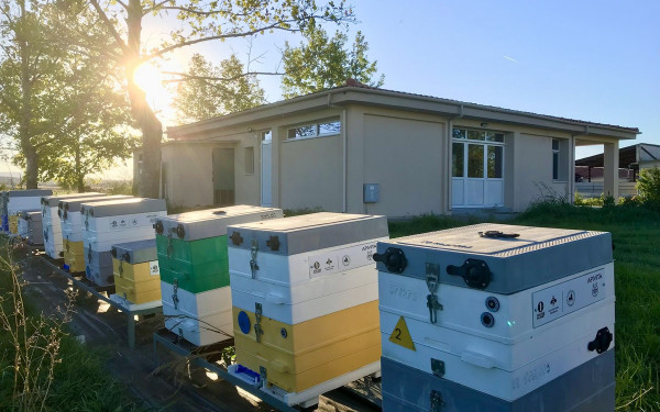 Πανεπιστήμιο Θεσσαλίας: Άτομα στο φάσμα του αυτισμού εκπαιδεύτηκαν στις εγκαταστάσεις του Εργαστηρίου Μελισσοκομίας ApislaB