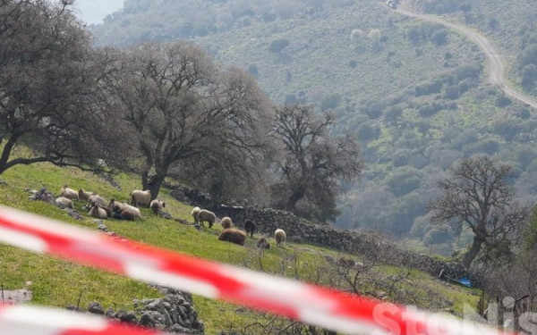 Λέσβος: Σταματά η αγορά γάλακτος στο νησί λόγω αφθώδους πυρετού σε μονάδα βοοειδών