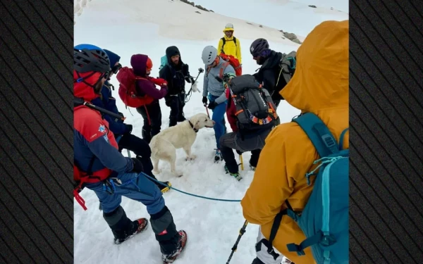 Μέτσοβο: Σκύλος επέζησε χωρίς τροφή για 9 μέρες σε υψόμετρο 1.900 μ.