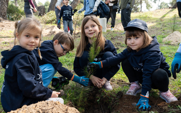 Χαλκιδική: Πρόγραμμα φύτευσης 6.000 δέντρων για την ενίσχυση του παράκτιου πευκοδάσους της Σάνης
