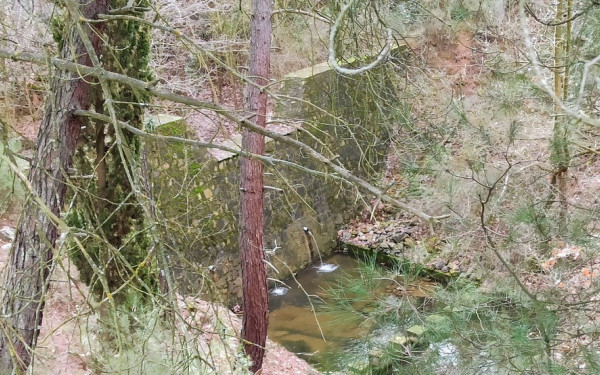 Δασαρχείο Θεσσαλονίκης: Δύο μεγάλα αντιπλημμυρικά έργα σε Θέρμη και Ευκαρπία