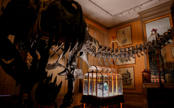 Τσάντα από «δέρμα» δεινοσαύρου T-Rex δημοπρατείται για μισό εκατομμύριο δολάρια