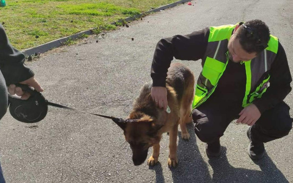 Θεσσαλονίκη: 128 κηδεμόνες ελέγχθηκαν τον Μάρτιο - Πρόστιμα 6.800 ευρώ