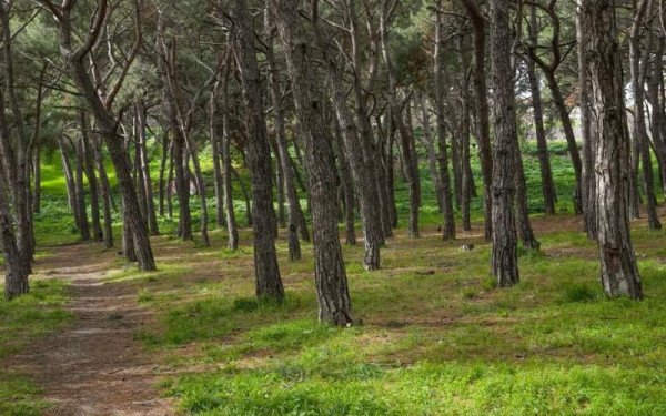 Ωραιόκαστρο: Πέντε νέες πράσινες διαδρομές αλλάζουν τον αστικό χάρτη με χρηματοδότηση 15 εκατ. ευρώ από το ΕΣΠΑ