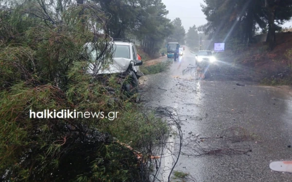 Στο έλεος της κακοκαιρίας «Erminio» η Χαλκιδική: Τροχαία, κατολισθήσεις και διακοπή κυκλοφορίας