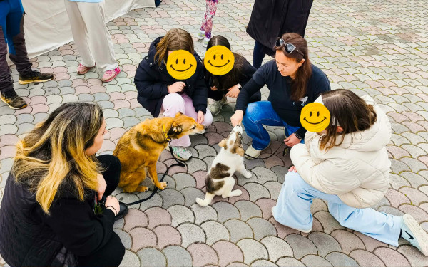 Χαλκιδική: Δράση υιοθεσίας στον Δήμο Πολυγύρου