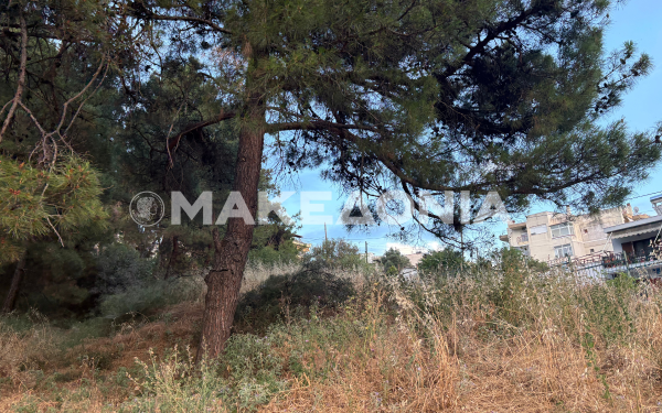 Θεσσαλονίκη: Εικόνα εγκατάλειψης στο Άλσος Μετεώρων - Ξερά χόρτα και σοβαρός κίνδυνος πυρκαγιάς προκαλούν την αγανάκτηση των κατοίκων