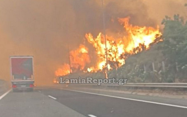 Βοιωτία: Σε ύφεση η πυρκαγιά στο Ακραίφνιο - Ανοιχτή η Ε.Ο. Αθηνών-Λαμίας
