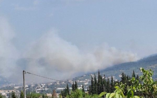 Πυρκαγιά στο Δερβένι Εκκενώνεται η Λητή - Σορός εντοπίστηκε μέσα στη δασική έκταση - Εγκαυματίας στο νοσοκομείο