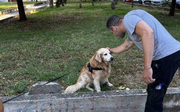 Θεσσαλονίκη: Έλεγχοι της ΕΛ.ΑΣ. σε ιδιοκτήτες ζώων - Τουλάχιστον 23 πρόστιμα για παραβάσεις