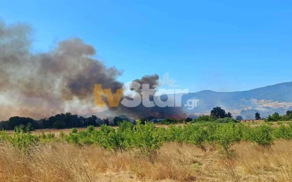 Φωτιά στη Φωκίδα: Συναγερμός στη Μαριολάτα - Επιχειρούν 3 αεροπλάνα και 1 ελικόπτερο