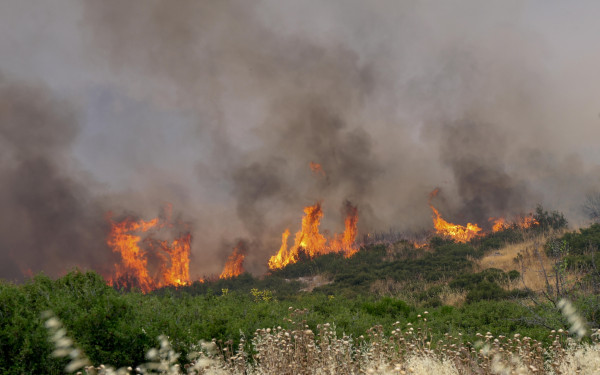 Φθιώτιδα: Χειροπέδες σε 43χρονο για τη μεγαλύτερη φετινή πυρκαγιά στη χώρα