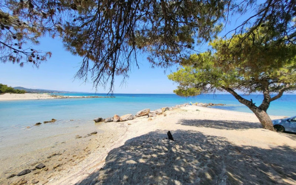 Χαλκιδική: 65χρονος τουρίστας ανασύρθηκε νεκρός από τη θάλασσα στον Γλαρόκαβο