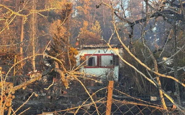 Θεσσαλονίκη: Ανείπωτη τραγωδία στη Λητή - Χωρίς ενεργό μέτωπο η φωτιά