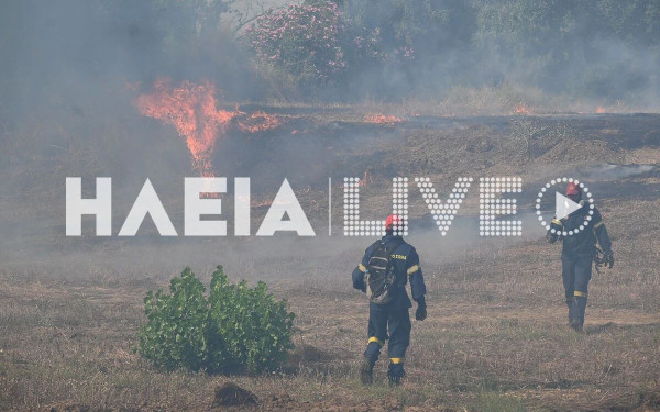 Ηλεία: Δύσκολη πυρκαγιά στη Βάρδα - Συνεχείς αναζωπυρώσεις από τους ισχυρούς ανέμους - Δείτε εικόνα