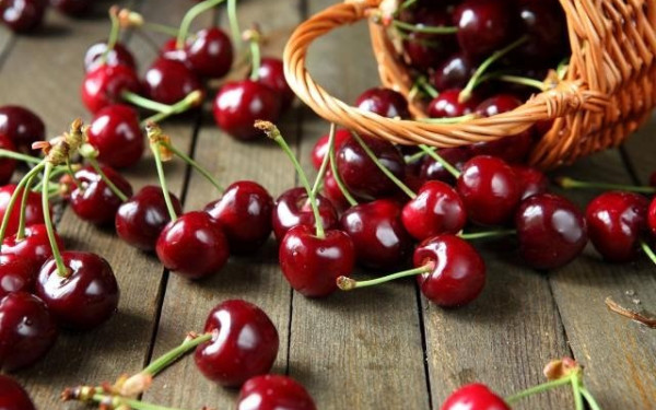 Ν. Πέλλας: Ολική καταστροφή στο πρώιμο κεράσι Ν. Πέλλας: Ολική καταστροφή στο πρώιμο κεράσι