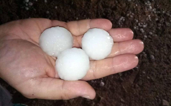 Καβάλα: Αποζημιώνονται 911 παραγωγοί που επλήγησαν από χαλάζι, παγετό και πλημμύρες το 2022