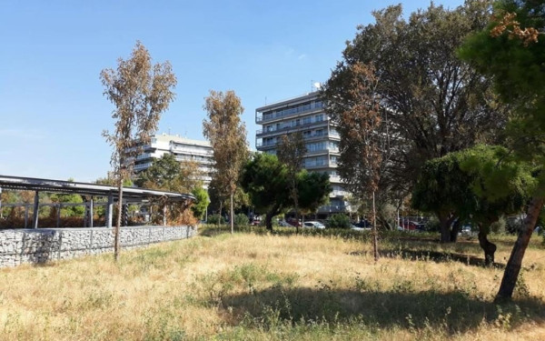  Αποκαρδιωτική η εικόνα των δέντρων και των φυτών στη νέα παραλία Θεσσαλονίκης