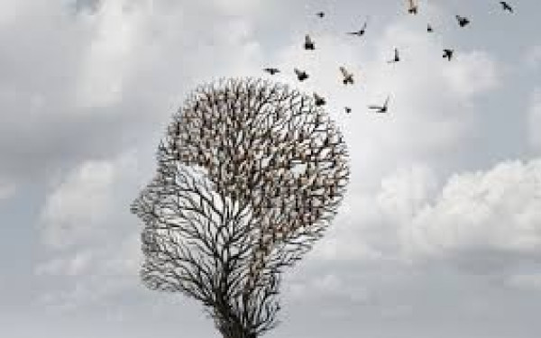 Οι 7 συνήθειες που μειώνουν δραστικά των κίνδυνο εμφάνισης άνοιας στους διαβητικούς