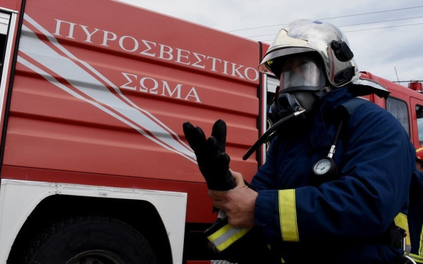 Νεοχωρούδα Θεσσαλονίκης: Κάηκε σχεδόν ολοσχερώς βιομηχανική μονάδα με αυγά - Τι αναφέρεται σε ανακοίνωση της εταιρείας (βίντεο)