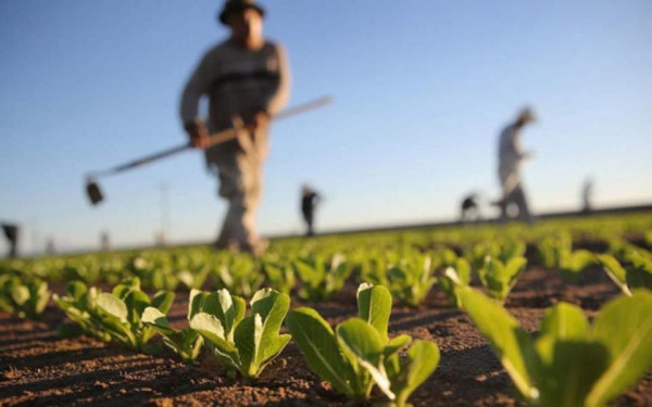 Στη Θέρμη ο πρώτος Θύλακας Αγροδιατροφής
