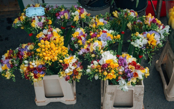 ΕΕΘ: Λαθρεμπόριο λουλουδιών στο ΑΠΘ
