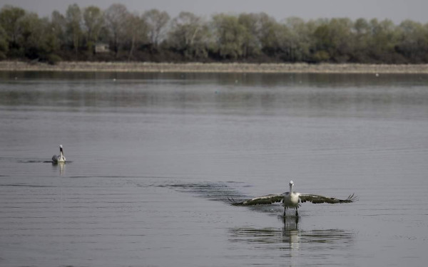 Κεντρική Μακεδονία: Θωρακίζονται από τις πλημμύρες η Τάφρος 66, τμήμα της λίμνης Κερκίνης και ο ποταμός Λουδίας