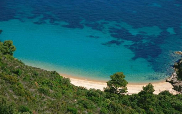 8 στις 10 αγοραπωλησίες ακινήτων στη Χαλκιδική έμειναν "στα χαρτιά" λόγω του πολέμου στην Ουκρανία!