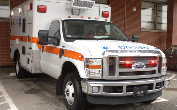 ΗΠΑ: Πολική αρκούδα επιτέθηκε και σκότωσε μια γυναίκα και ένα αγόρι στην Αλάσκα