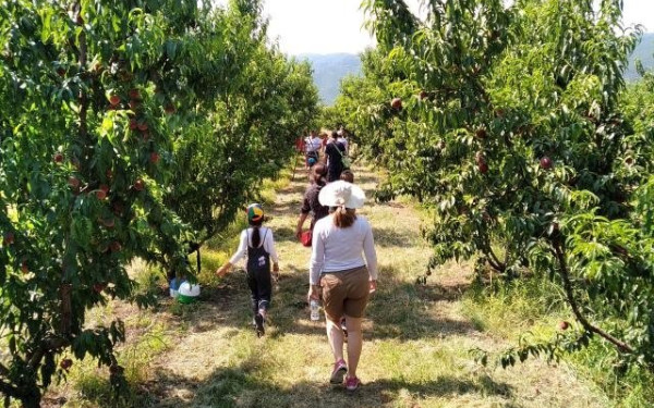 Τα «εναλλακτικά» καλοκαίρια των νέων με αγροτουρισμό και τουρισμό περιπέτειας