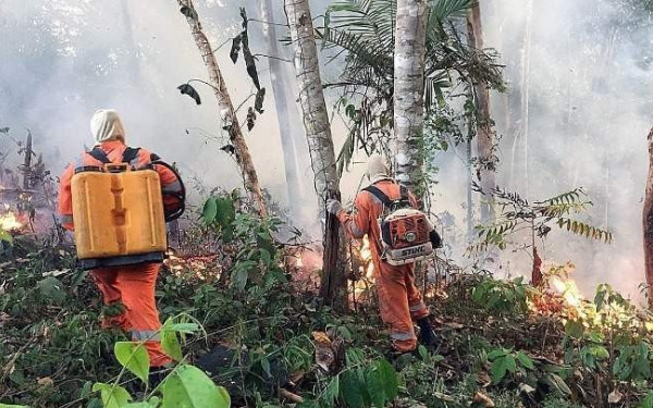 Κομματική αντιπαράθεση ακόμη και για τον Αμαζόνιο...