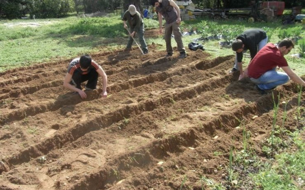 Σχέδια Βελτίωσης: «Κόφτες» στις εντάξεις αγροτών στο επιδοτούμενο πρόγραμμα